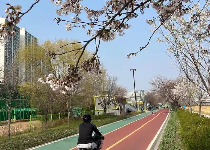 Willa Baguni Near Seongsu *